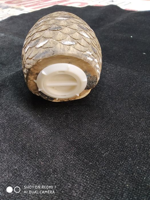 Skarbonka sowa piekna