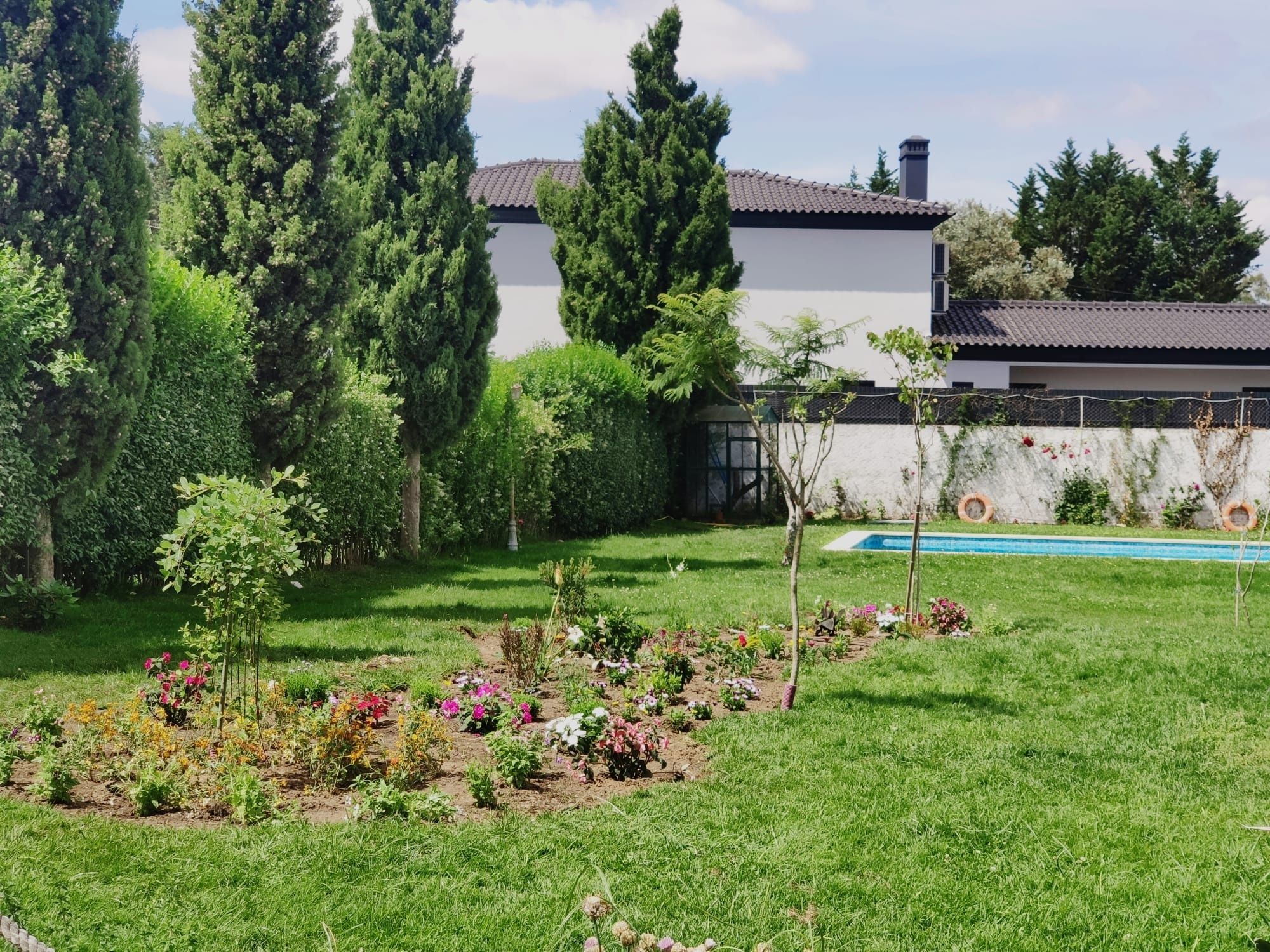 Construção e manutenção de jardim e limpeza de terenos e quarta árvore