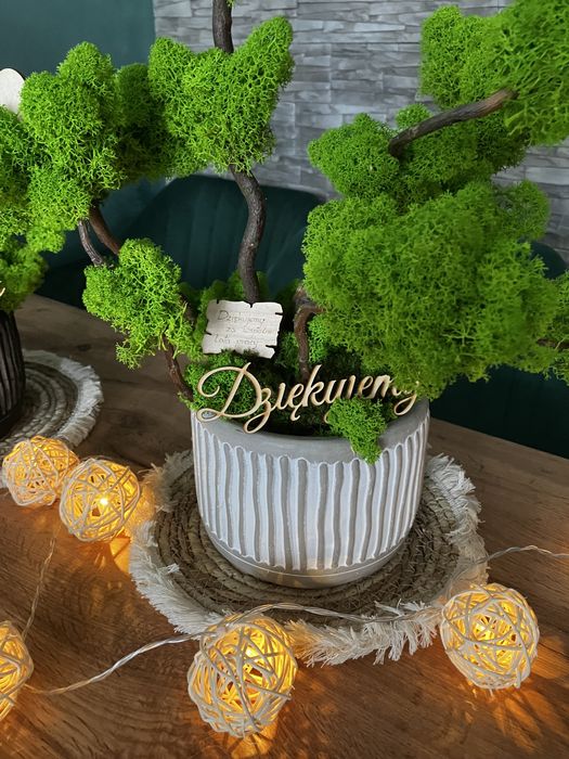 Podziękowania dla Rodziców drzewo z mchu personalizacja