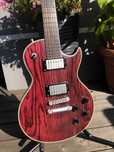 Gitara elektryczna Harley Benton Agufish LTD Signature z futerałem