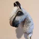 Hobby horse A4, siwy w hreczke, nowy