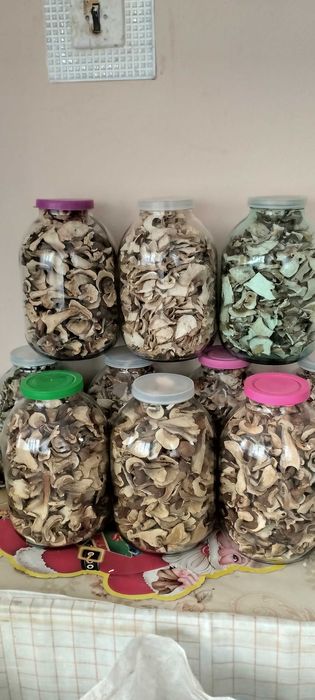 Гриби білі сушені, мариновані грибочки білі лисички, опеньки, маремушк