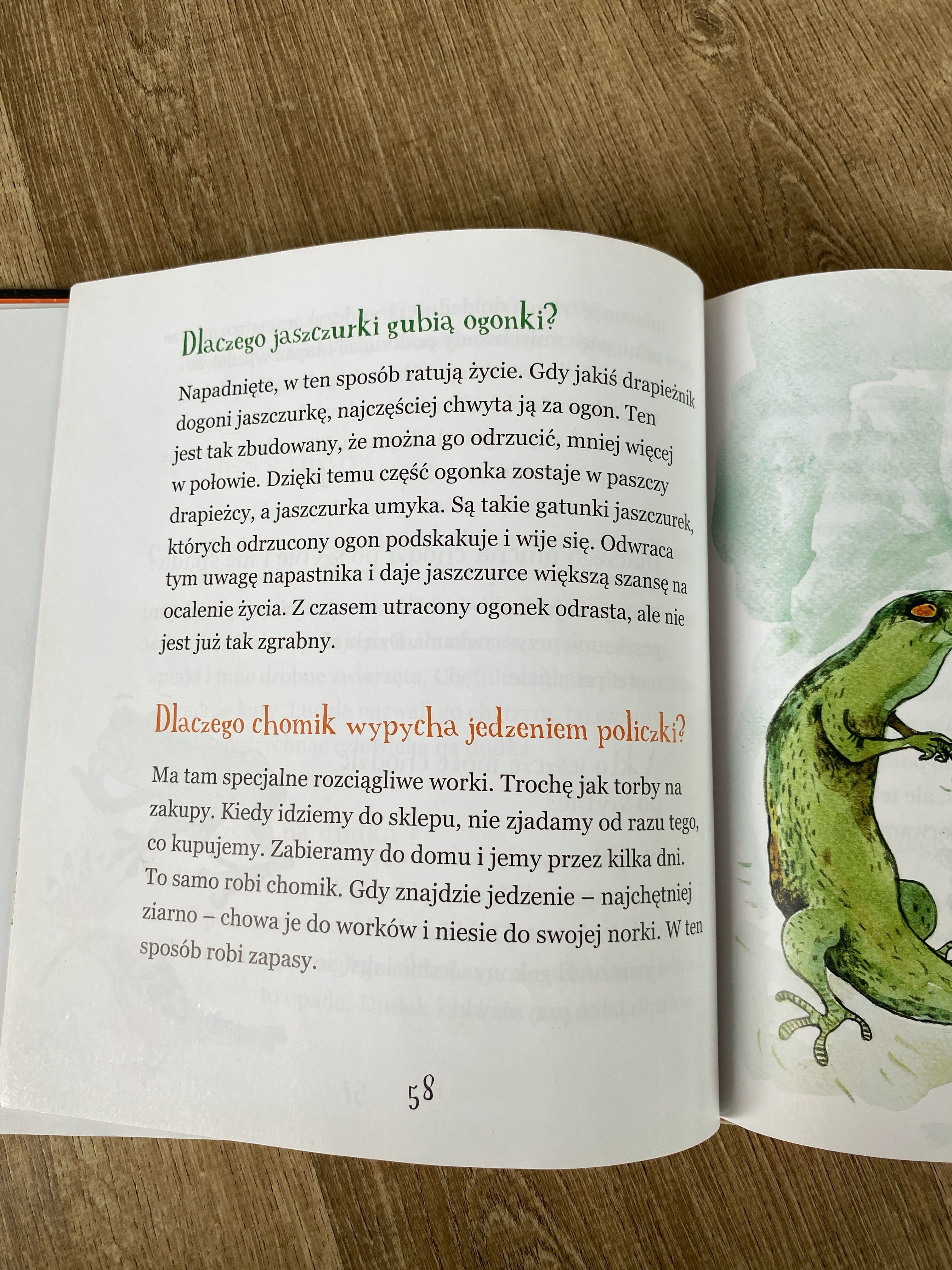 Książka "Dlaczego oczy kota świecą w nocy?" Dorota Sumińska