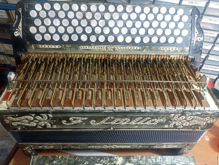 Acordeon Stela de botões 4 voz