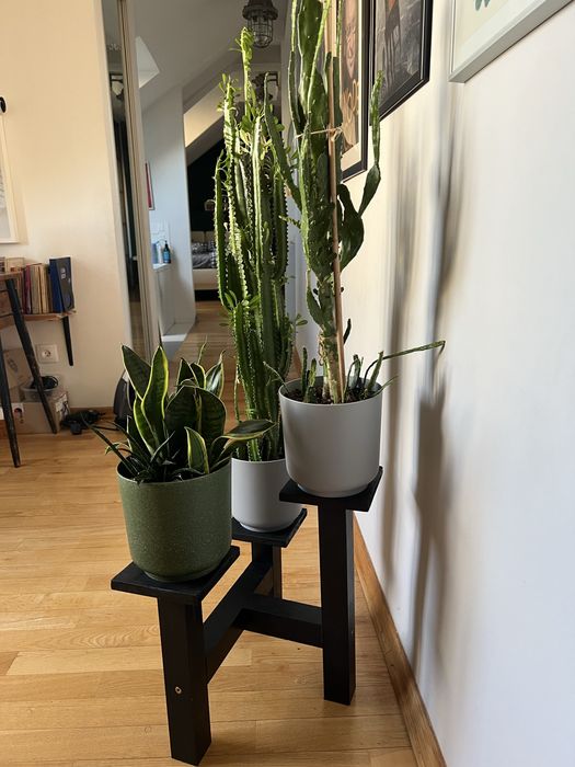 Stojak na kwiaty - kwietnik -czarny - lite drewno - bardzo solidny