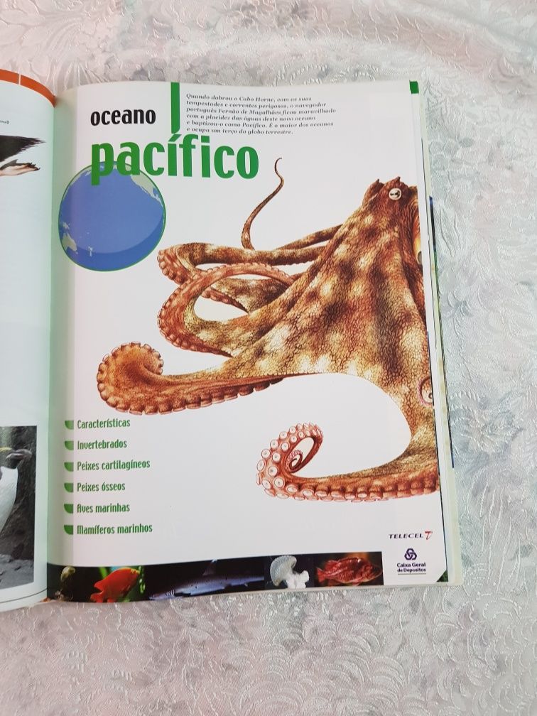 Vendo vários livros