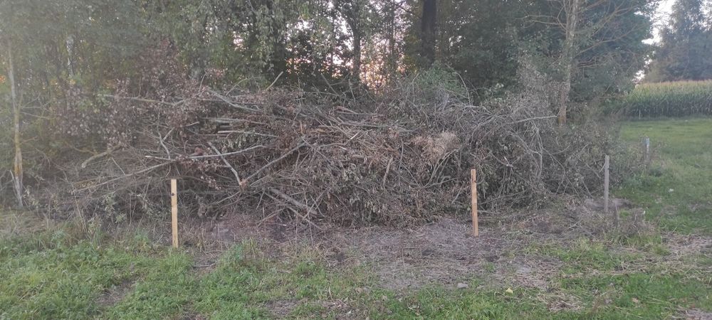 Oddam gałęzie z przeznaczeniem na opał