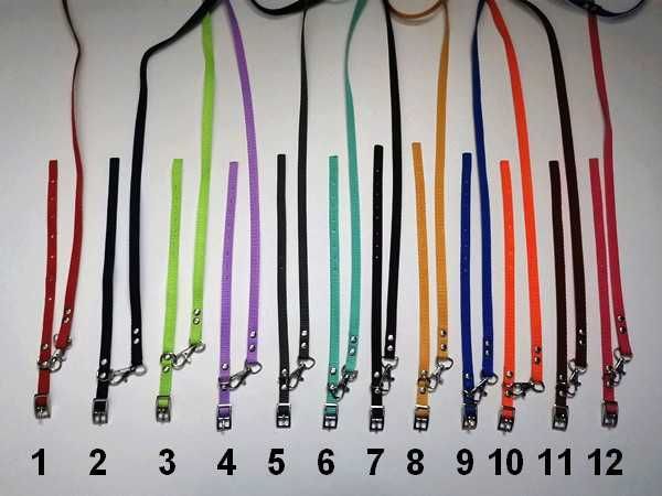 york obroża i smycz: york maltańczyk szczeniak, komplet 10 szt. kolory