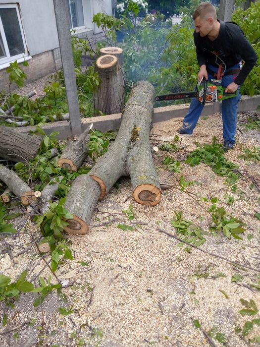 Зрізання дерев  • обрізка гілок • безкоштовний виїзд