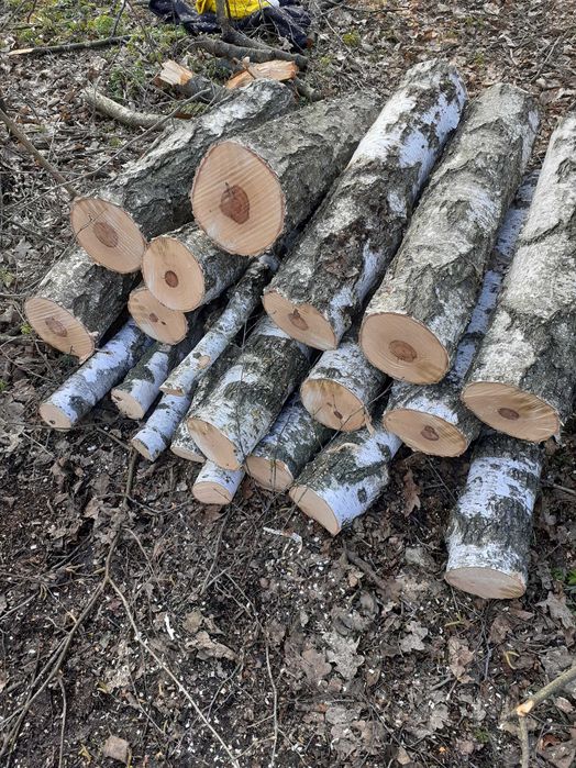 Drewno opałowe kominkowe