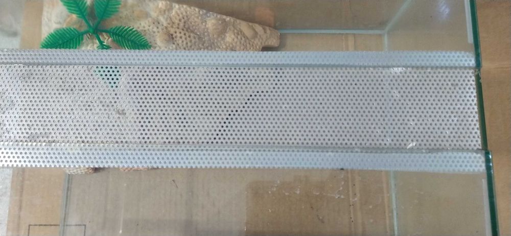 Tartarugueira de exposição