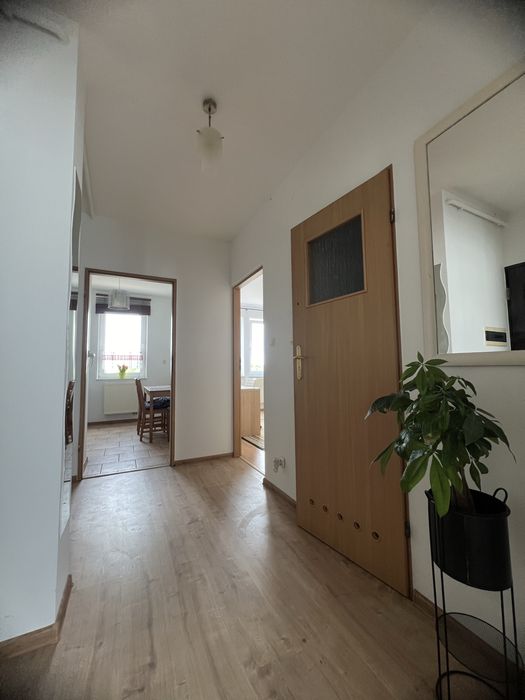 3-pokojowe jasne mieszkanie 65 m2