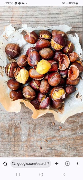 Vendo Castanhas de Arouca