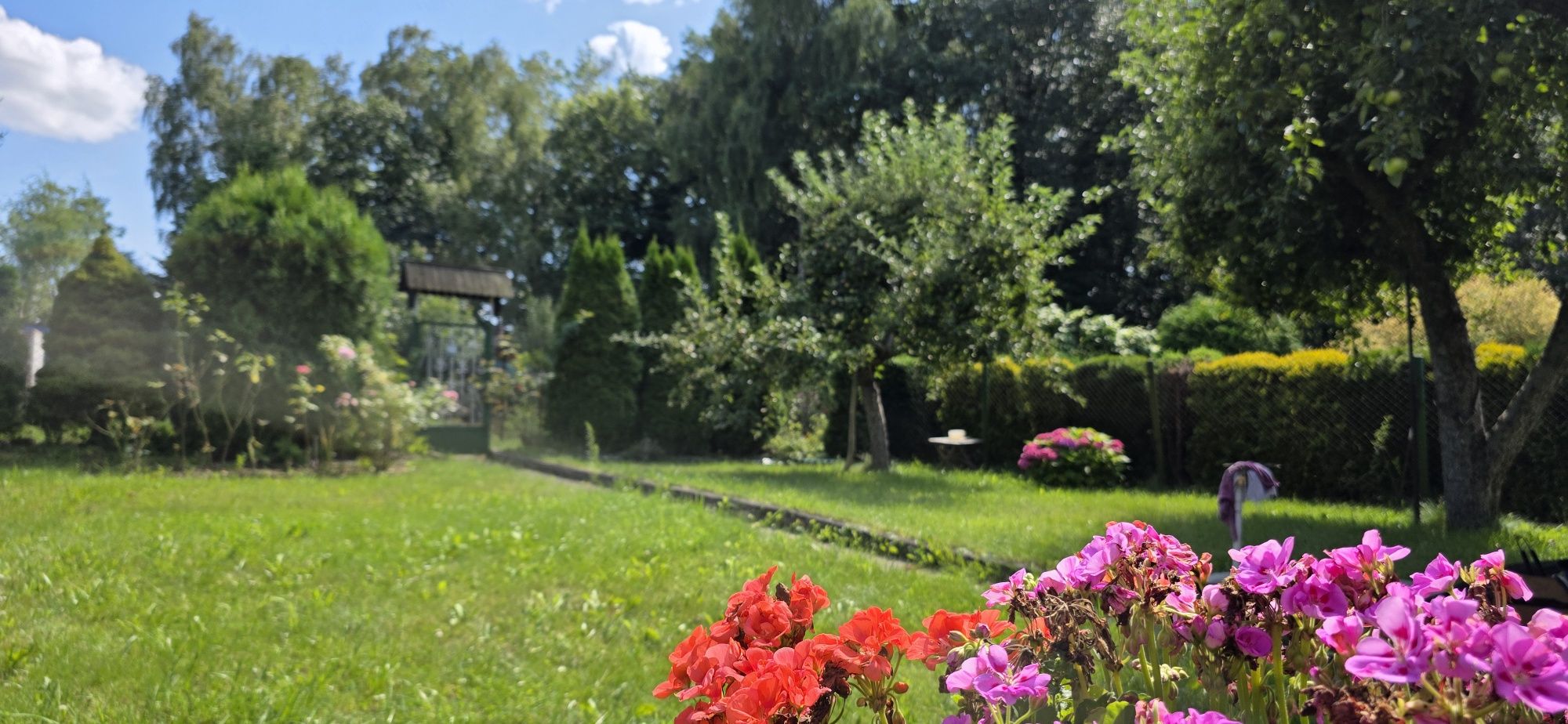 Działka ROD Ślązaczka MYSŁOWICE Brzęczkowice