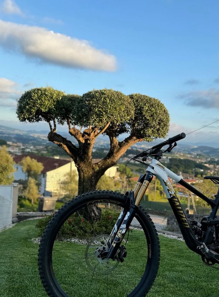 Apecialized enduro comp 2023
