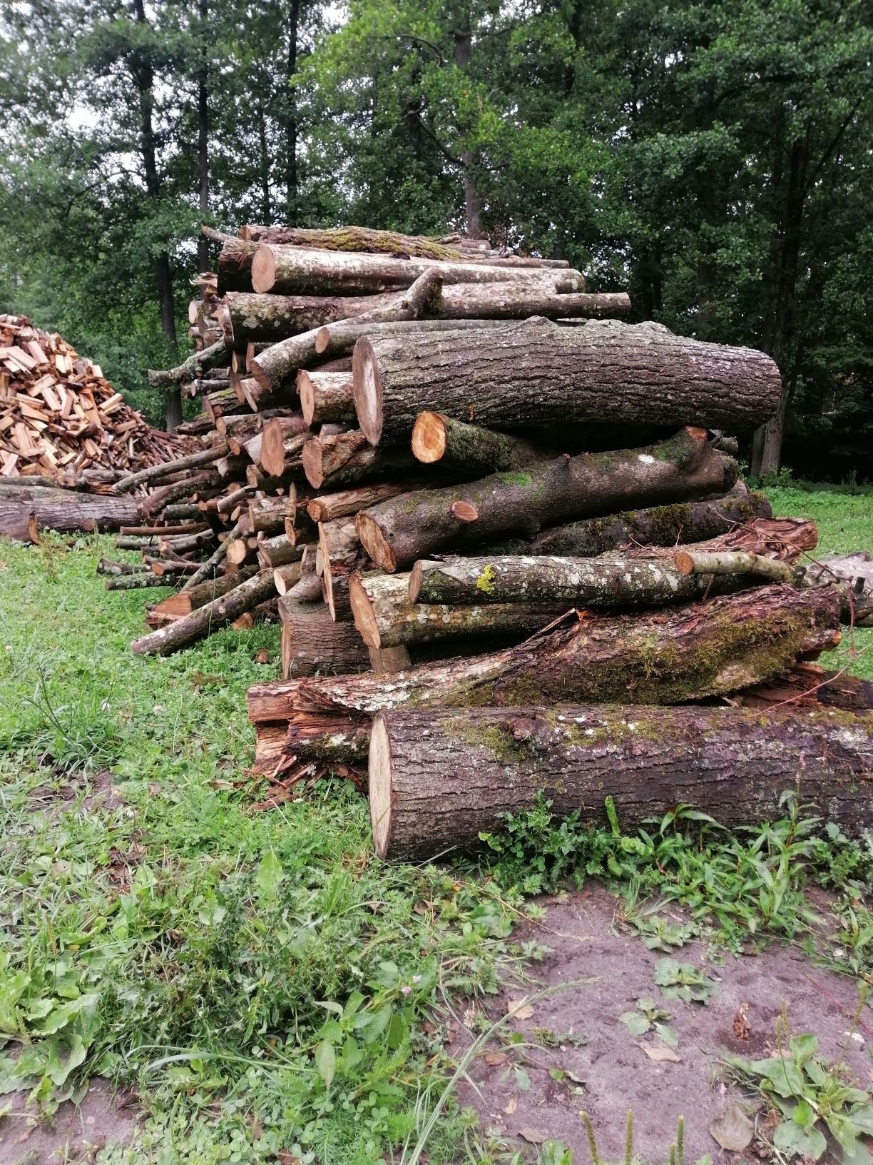 Sprzedaż drewna kominkowego/opałowego/mieszanego.