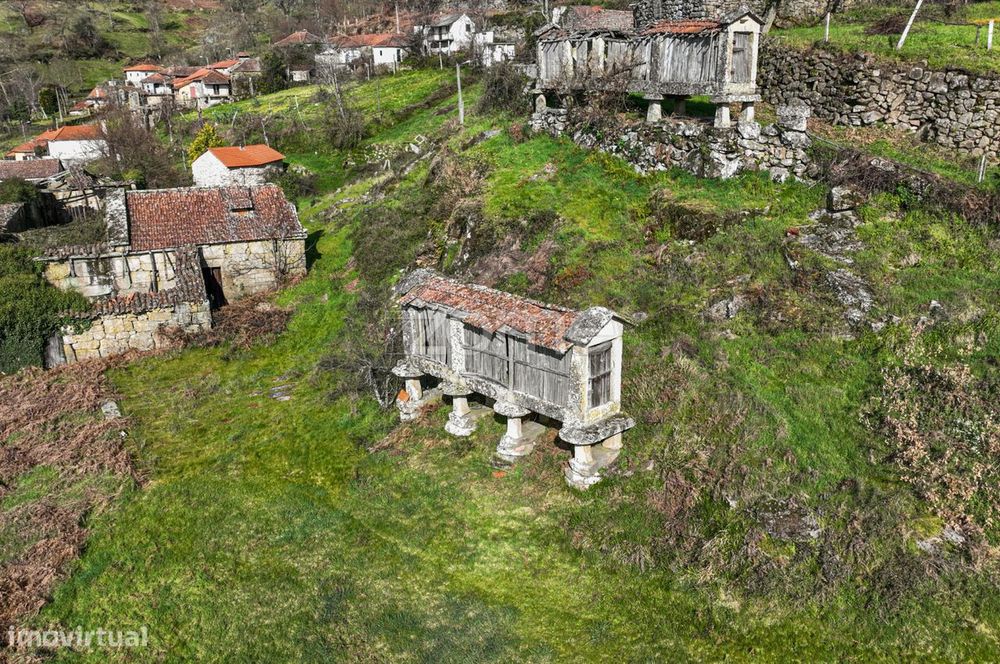 Moradia para reconstruir com terreno de 3.400 m2 - Ribeira de Pena