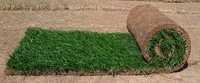 Рулонный газон,автоматический полив,ландшафтный дизайн