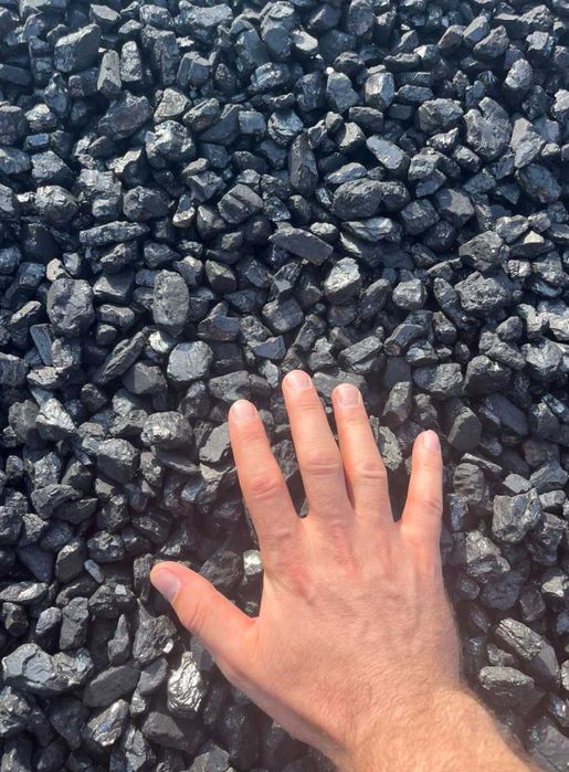 Палети, вугілля,  брикети RUF,PINI KAY,NESTRO — тепло нового рівня