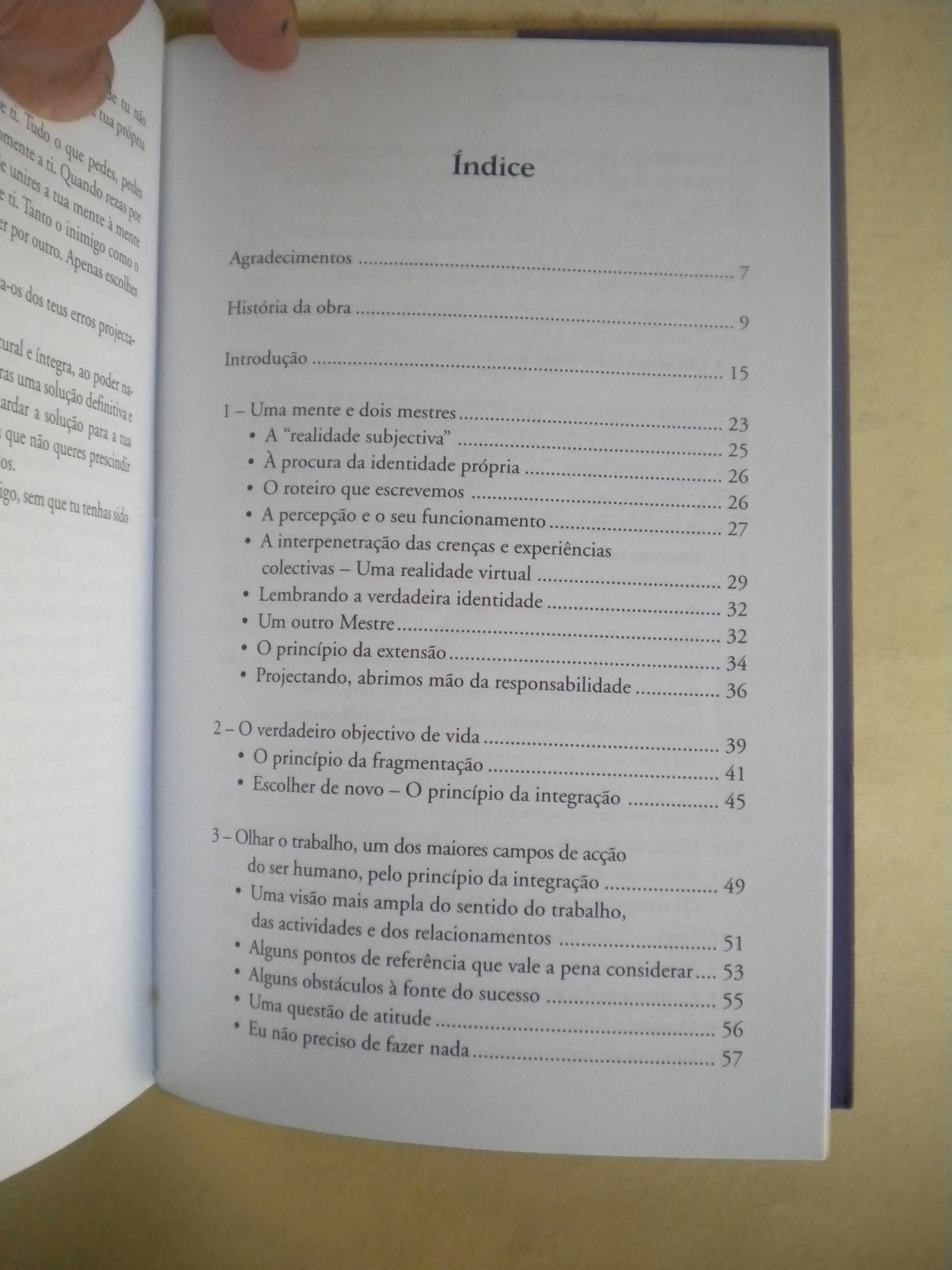 A Fonte do Sucesso
de Maria Isabel Ferreira