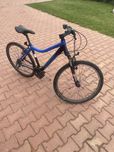 Rower Eurobike