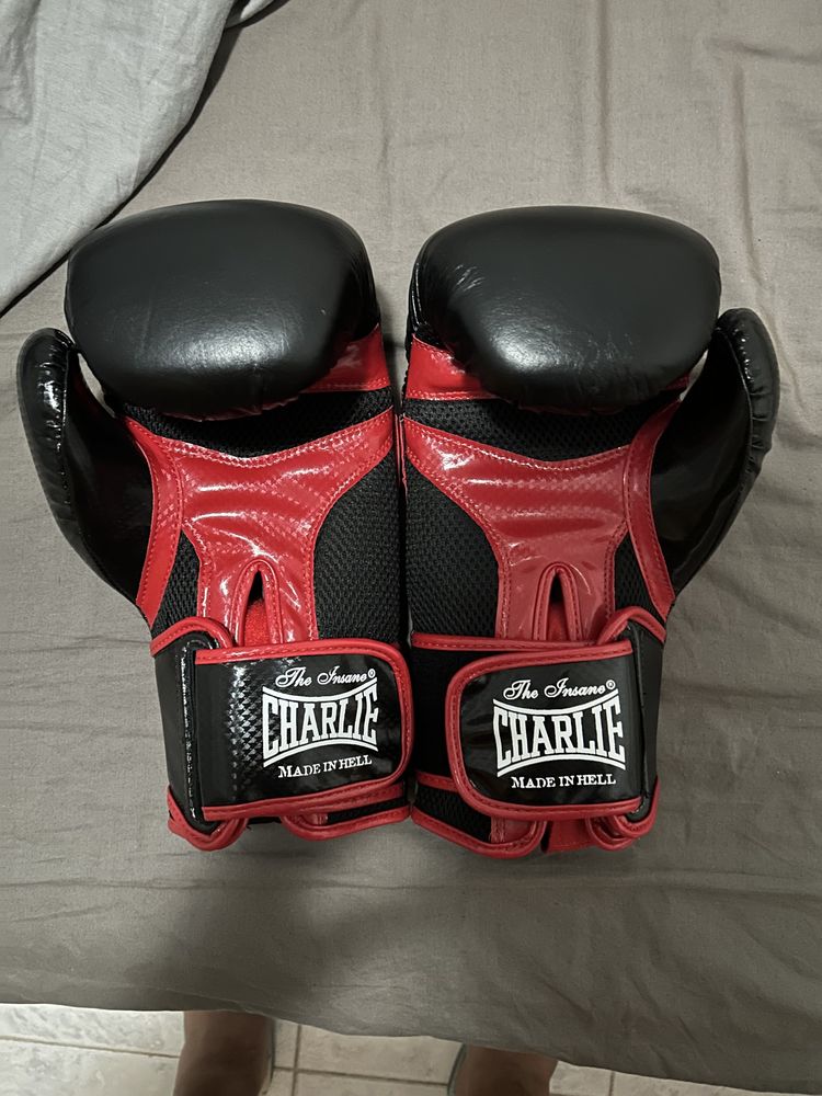 Luvas Box/Kickbox