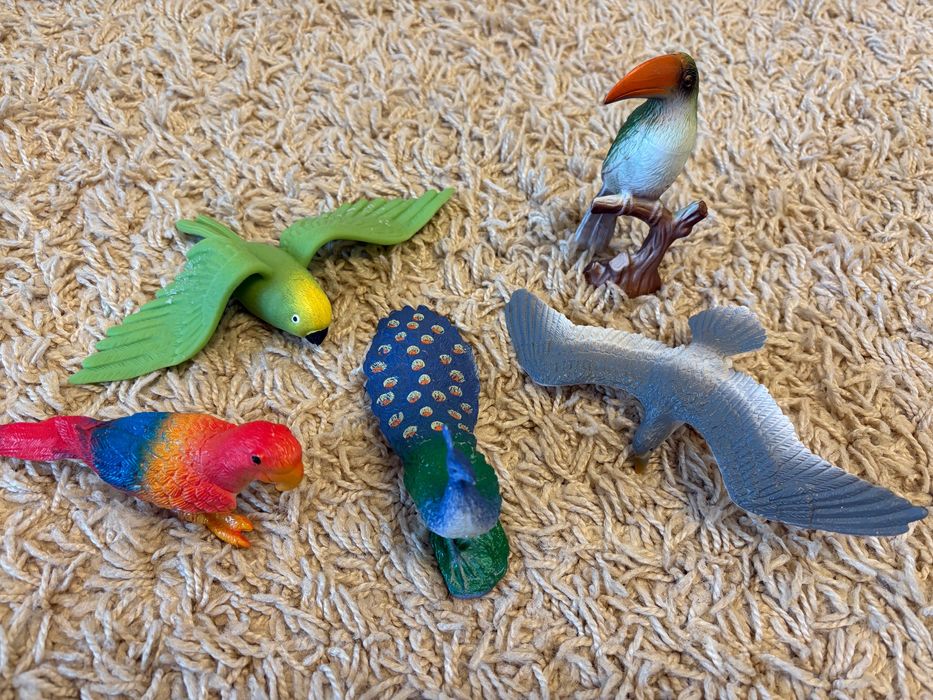 Колекція тварин: сафарі, дикі, морські, птахи