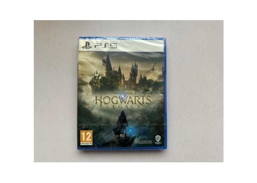 Hogwarts Legacy PlayStation 5