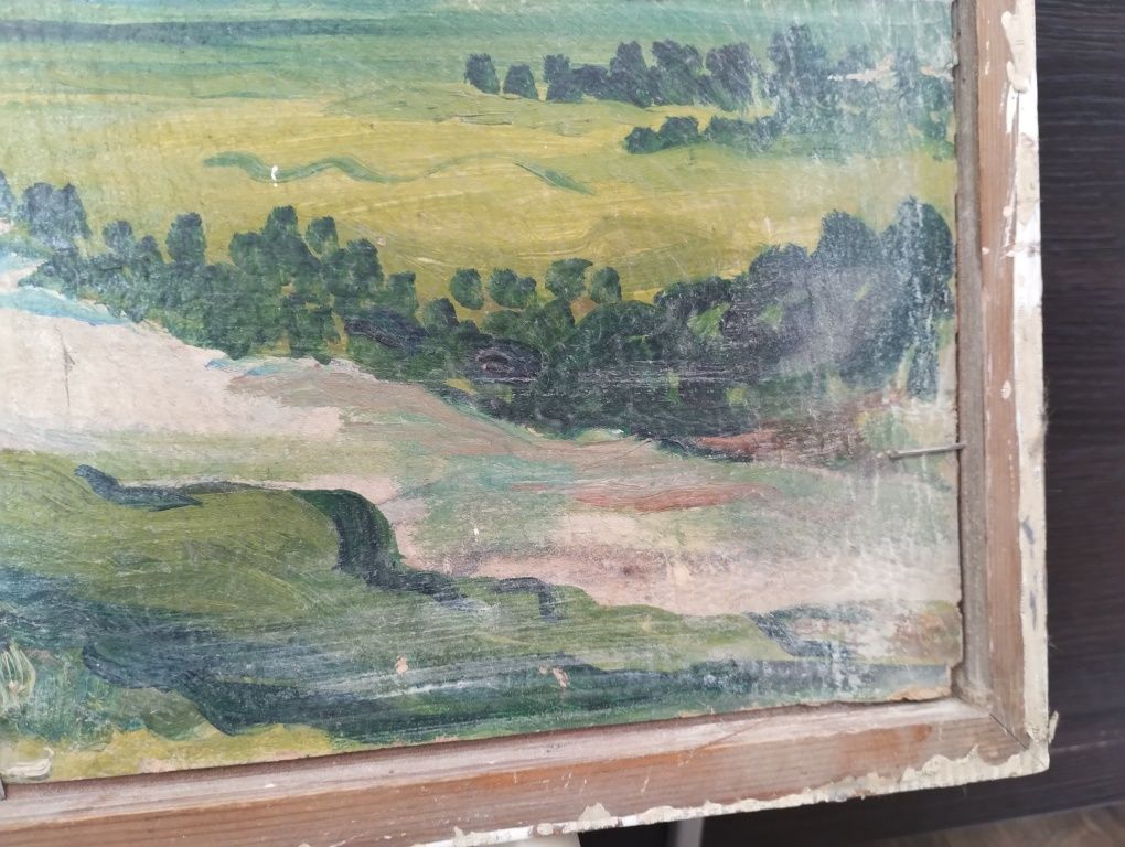 Obraz góry krajobraz do renowacji 37x51