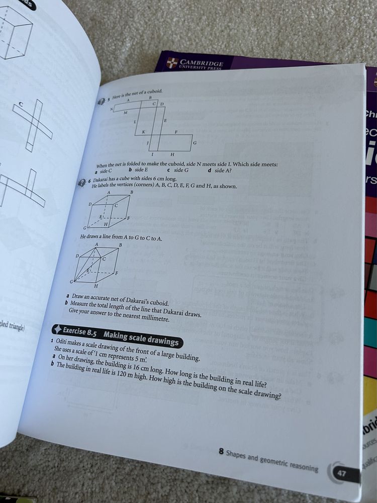 Mathematics cambridge 8
