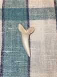 Dente de tubaram