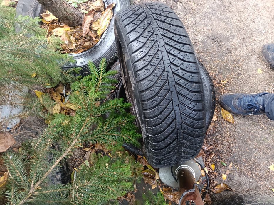 Koła 175/65/14 zimowe jeździły na Renaulcie Clio II