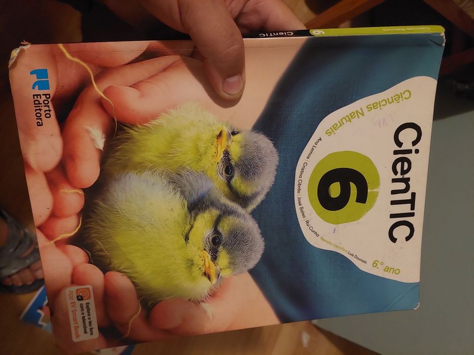 8 livros do 6 ano