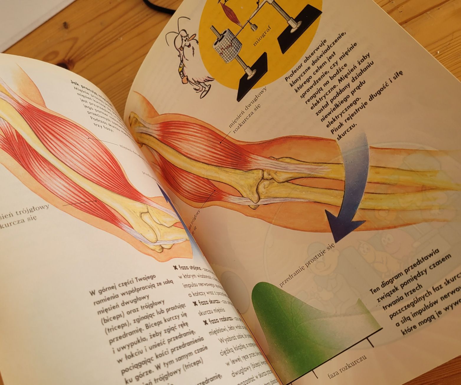 książka Sekrety ludzkiego ciała Mięśnie cz1 Deagostini