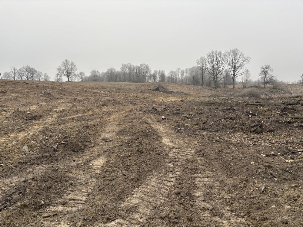 Wycinka drzew , przywracanie nieużytków, usługi rolne