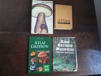 Atlas grzybów zestaw