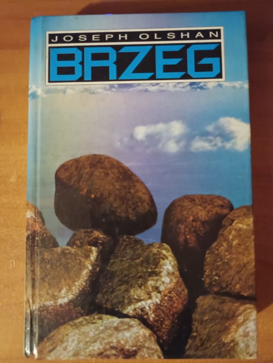 Joseph Olshan "Brzeg"