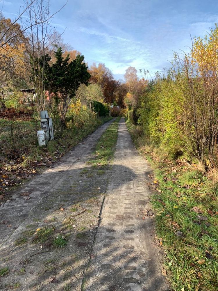 Na sprzedarz działka z ROD Gdańsk Kokoszki