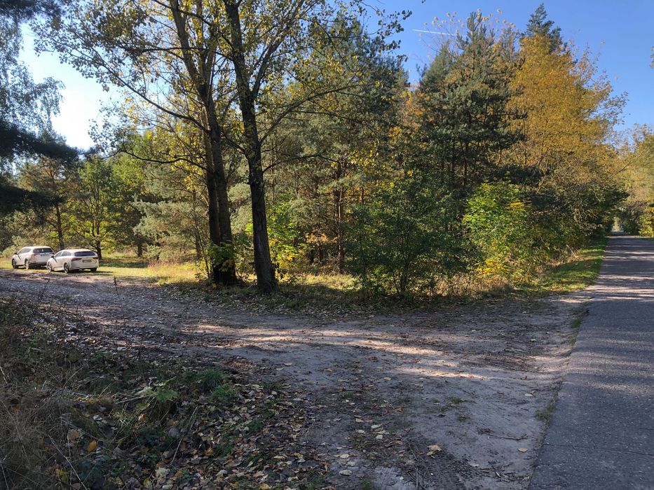 Dwie działki leśne, k. Łęczycy, dojazd asfalt