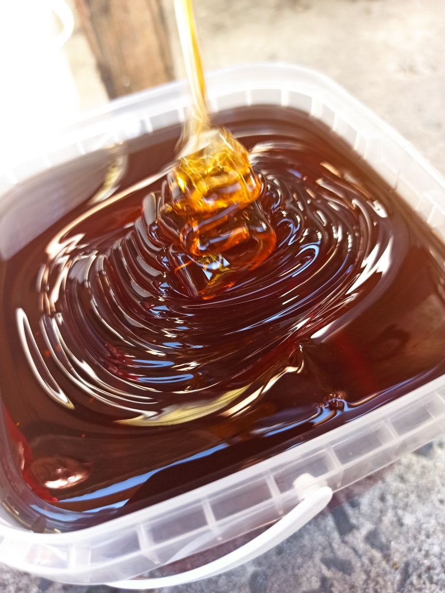 Продам лісовий мед (різнотрав'я)