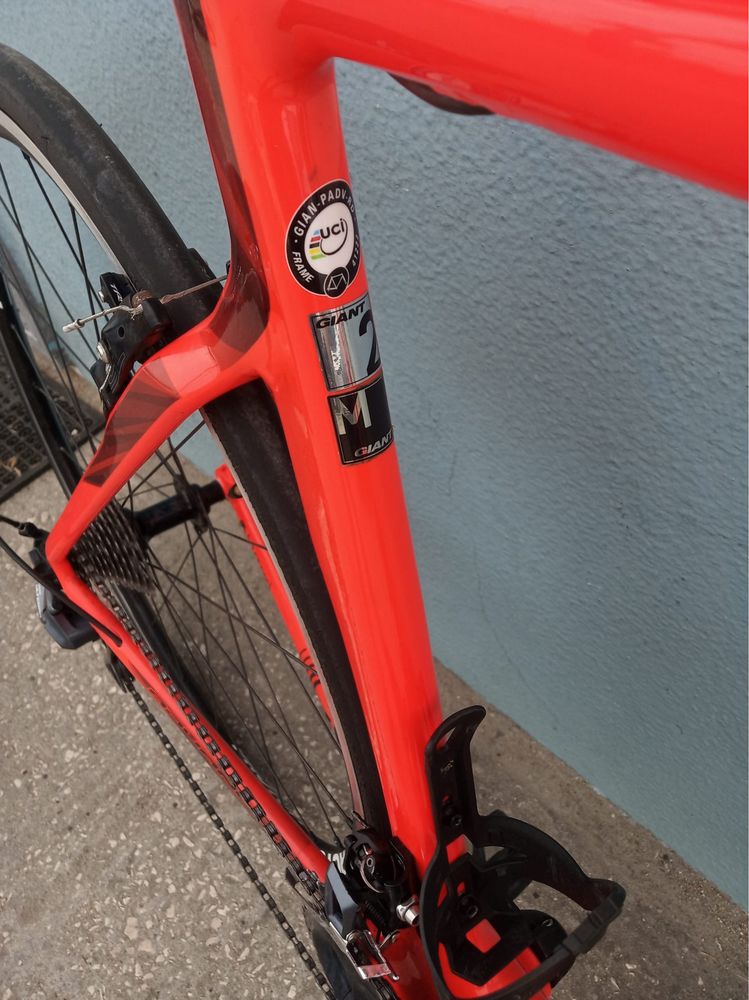 Giant Propel Carbono