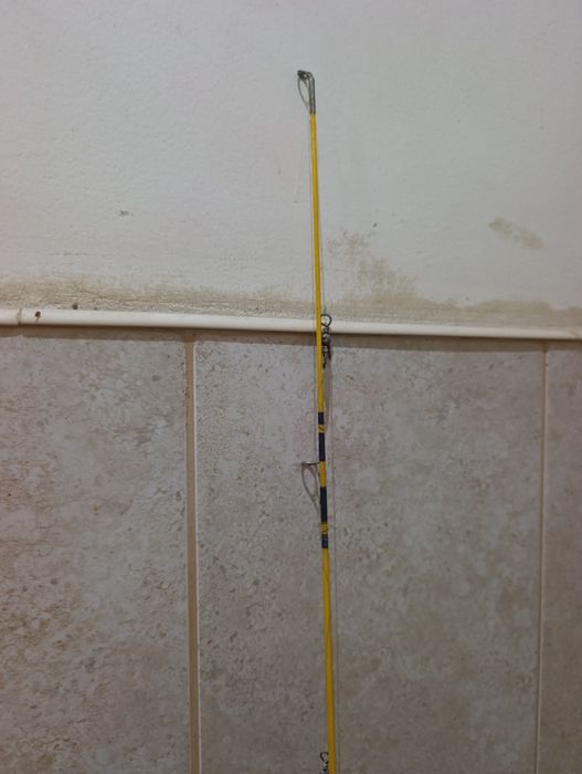 Cana de pesca principiante