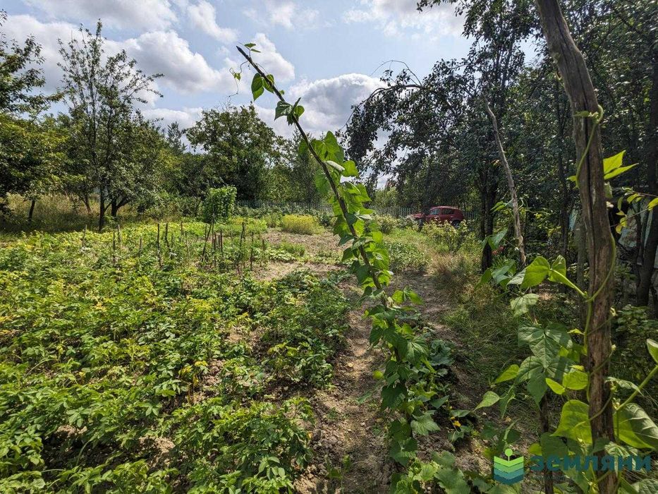 Продаж земельної ділянки в с. Павлівка (1)