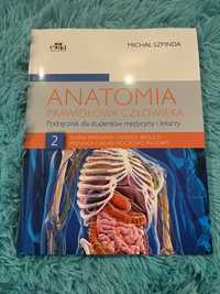 Anatomia Szpindy Tom 2