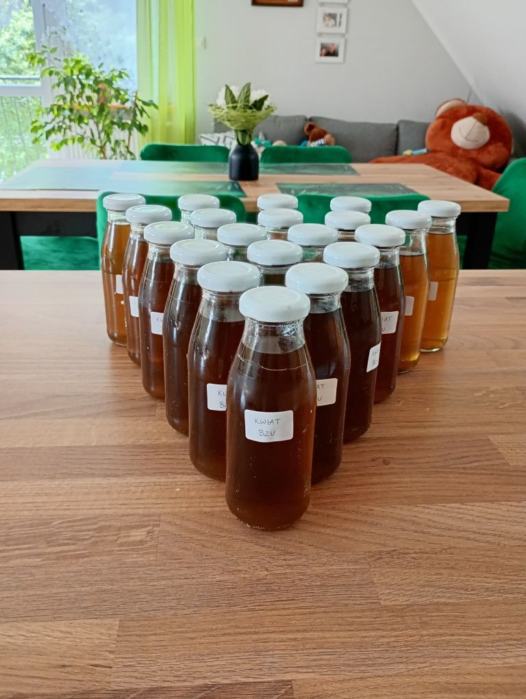 Syropy kwiat czarnego bzu 10 sztuk