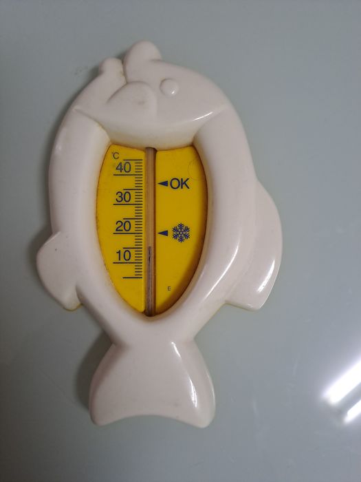 Banheira & Termómetro