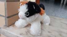Peluche gatinho (19 cm)