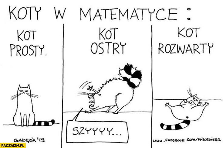 Korepetycje matematyka angielski matura egzamin ósmoklasisty
