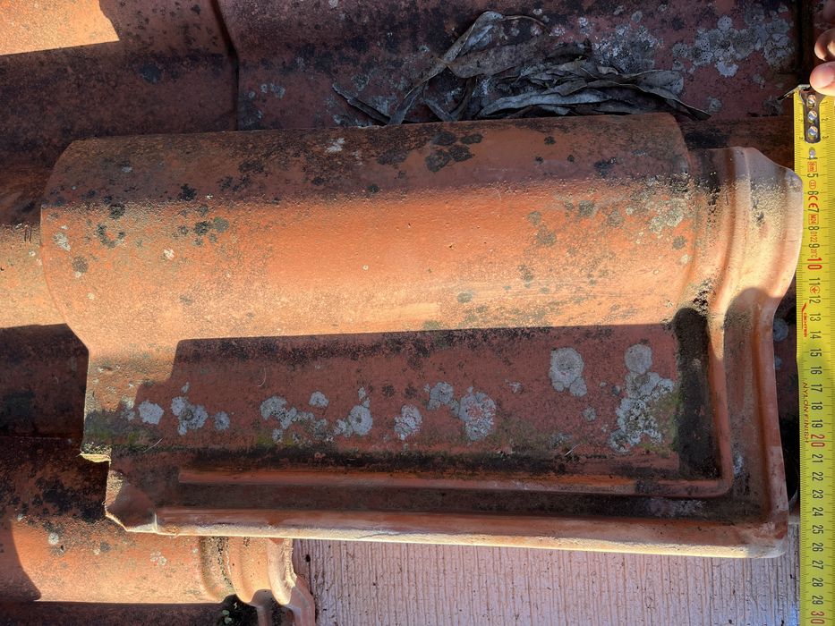 Procuro 10 telhas ceramica Margon Porto ze Mós