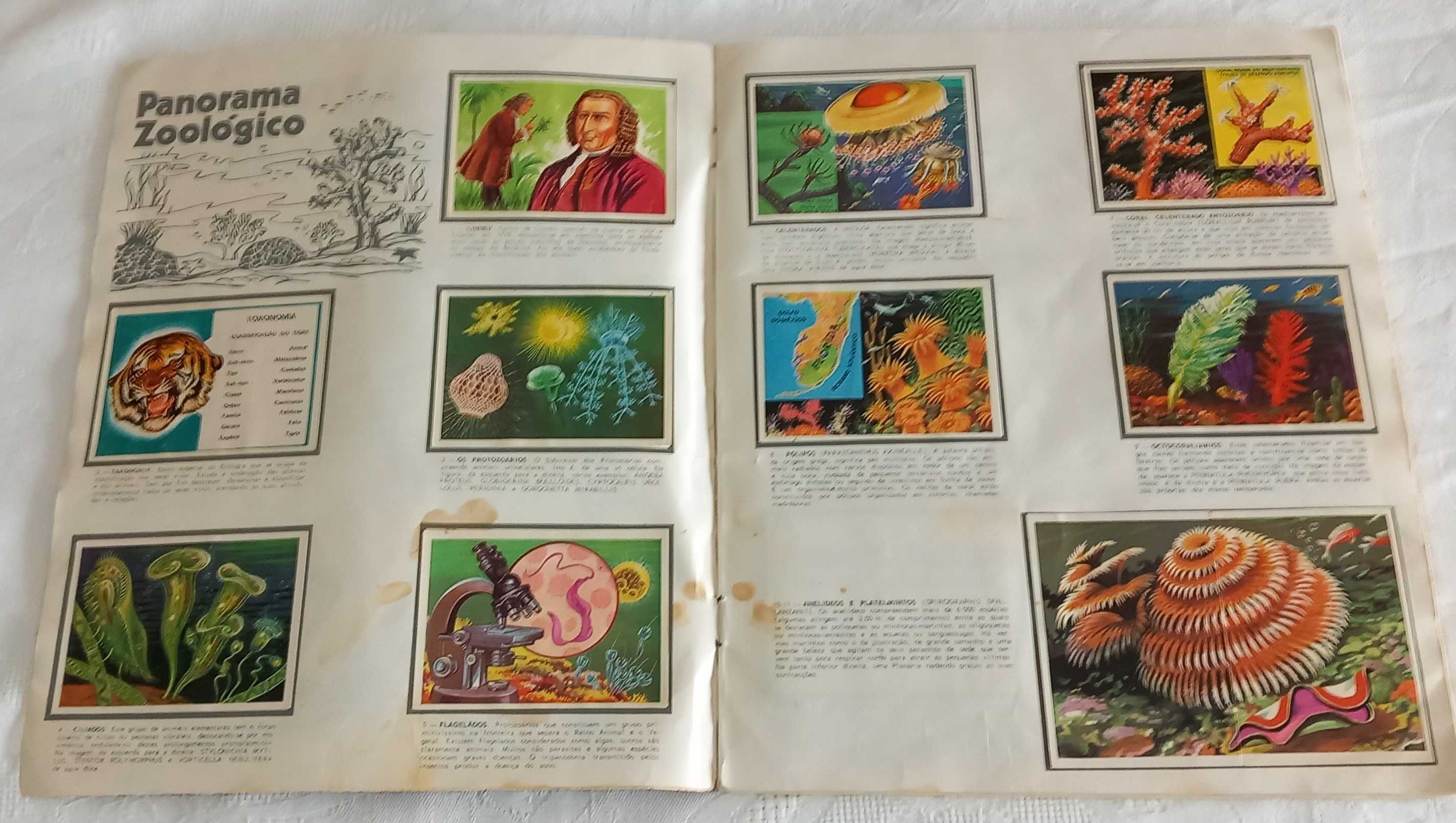 Caderneta de cromos completa Panorama Zoológico